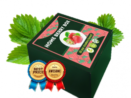 Home Berry Box - мнения - форум - цена в българия - отзиви - коментари
