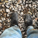 Farmacin – цена в българия – аптеки