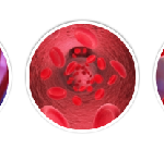 Veniseptico – мнения – форум – отзиви – коментари – бг мама