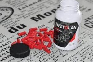 Testolan - състав