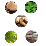 Black Maca – мнения – форум – отзиви – коментари – бг мама