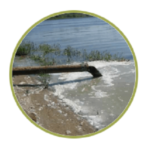 Nemanex – мнения – форум – отзиви – коментари – бг мама