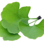 BeLight – мнения – форум – отзиви – коментари – бг мама