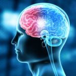 Brain Actives – състав