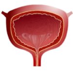 Sevinal Opti – аптеки – цена в българия