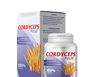 Cordyceps Pulse