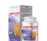 Cordyceps Pulse