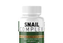 Snail Complex